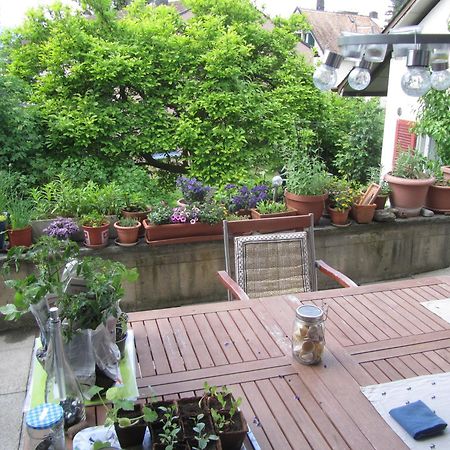Guest Room Zollikon Zuerich מראה חיצוני תמונה