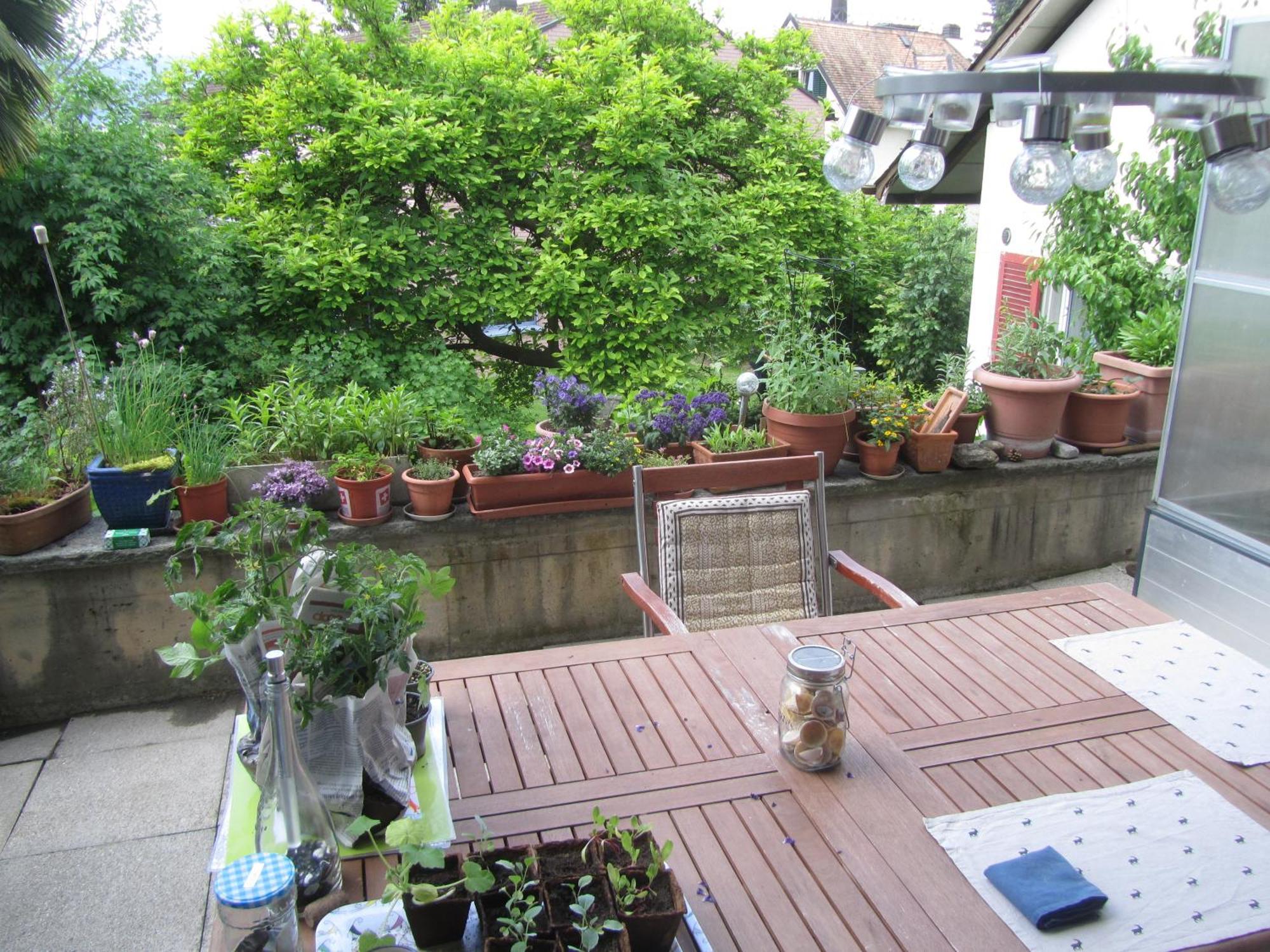 Guest Room Zollikon Zuerich מראה חיצוני תמונה
